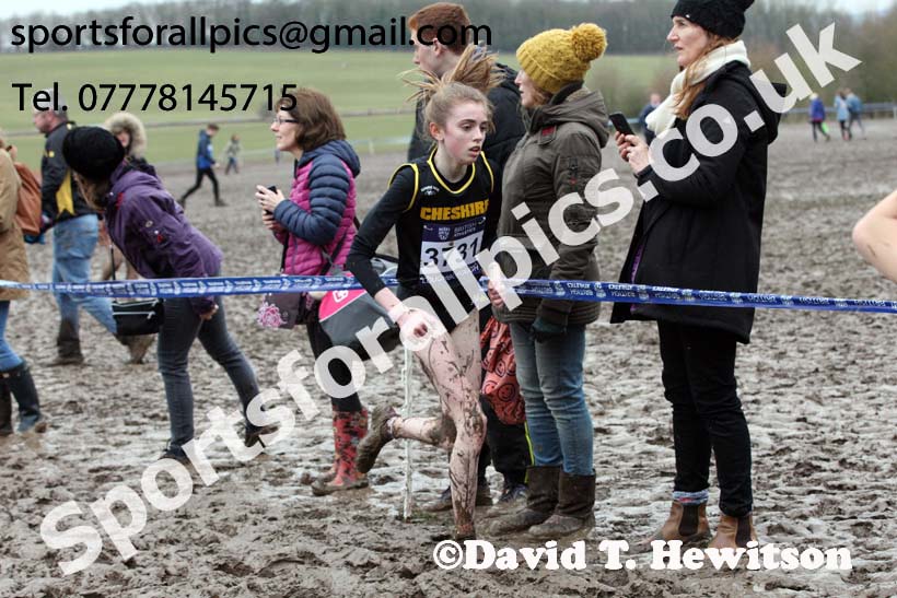 Girls under-15s 2018 British Inter Counties Cross Country Champs., Prestwold Hall, Loughborough. Photo: David T. Hewitson/Sports for All Pics